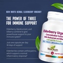new-roots-elderberry-supplement-powerful-4.jpg
