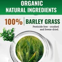 2023-new-organic-barley-grass-powder-pur-5.jpg