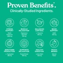 third-nature-calm-powdered-drink-mix-for-4.jpg