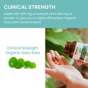 himalaya-usda-organic-gotu-kola-capsules-6.jpg