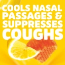 halls-cough-throat-relief-honey-lemon-co-5.jpg