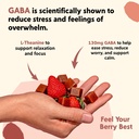 pym-berry-mood-chews-support-for-stress--5.jpg