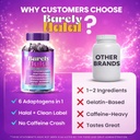 shilajit-gummies-for-energy-focus-ashwag-6.jpg