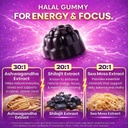 shilajit-gummies-for-energy-focus-ashwag-4.jpg