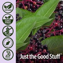 nature-s-answer-sambucus-elder-berry-ext-5.jpg