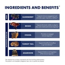 host-defense-elderberry-plus-syrup-immun-6.jpg