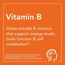now-supplements-vitamin-b-100-sustained--4.jpg