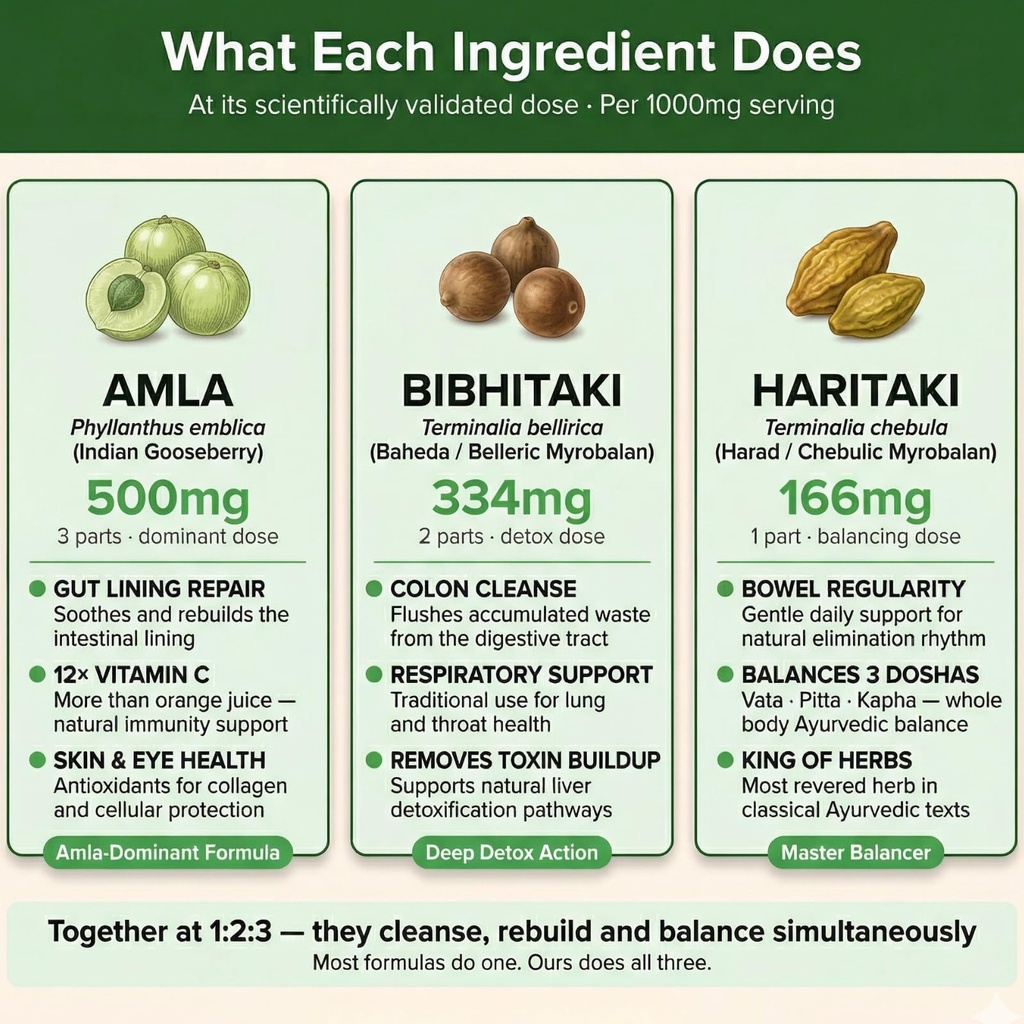 triphala-tablets-1-2-3-ratio-organic-ind-3.jpg