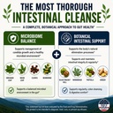 12-in-1-parasite-candida-cleanse-support-3.jpg