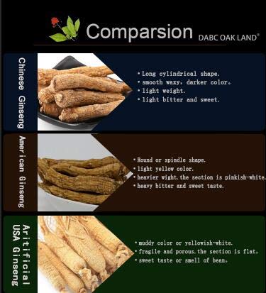 american-ginseng-root-powder-from-wiscon-6.jpg