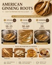 hlx-american-ginseng-root-organic-americ-6.jpg