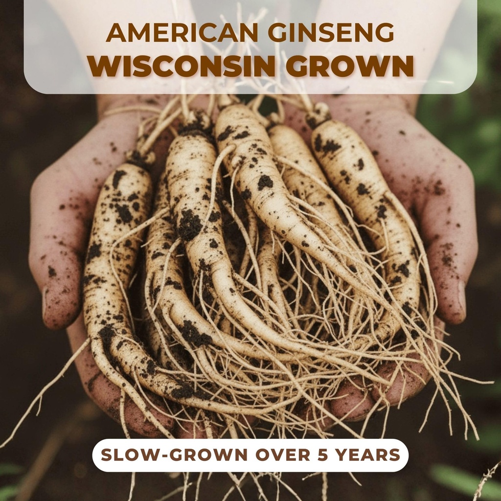 hlx-american-ginseng-root-organic-americ-3.jpg