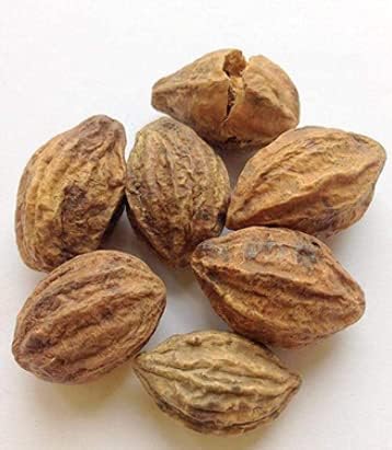 badi-harad-10-5ounce-300-gm-haritaki-kad-2.jpg