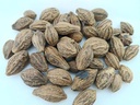 rj-badi-harad-whole-aralu-inknut-haritak-4.jpg