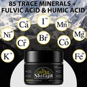 himalayan-shilajit-resin-800-mg-shilajit-6.jpg