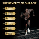 alcami-premium-himalayan-shilajit-resin--5.jpg