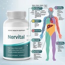 nervital-for-nerve-health-support-nervit-3.jpg