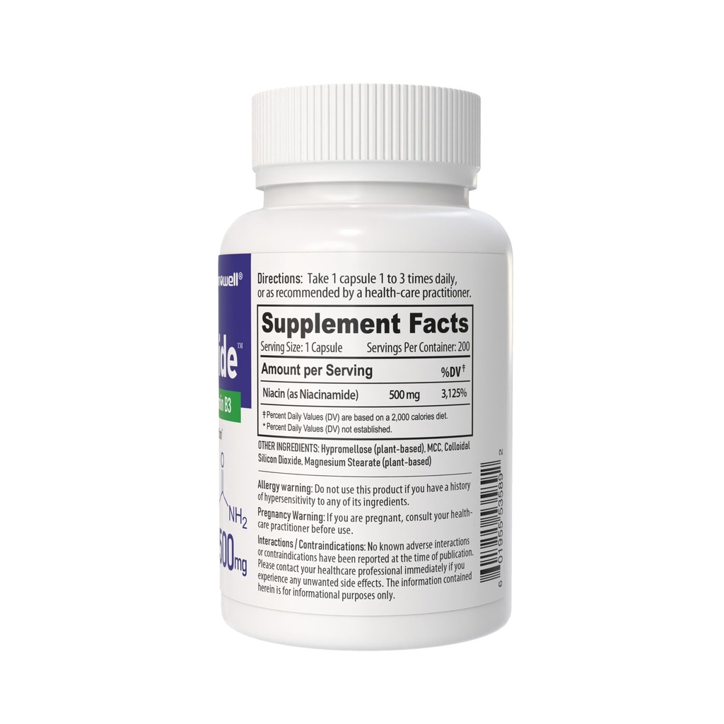 nanowell-niacinamide-500mg-vitamin-b3-no-2.jpg