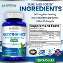 generic-natural-vitamin-nicotinamide-wit-5.jpg