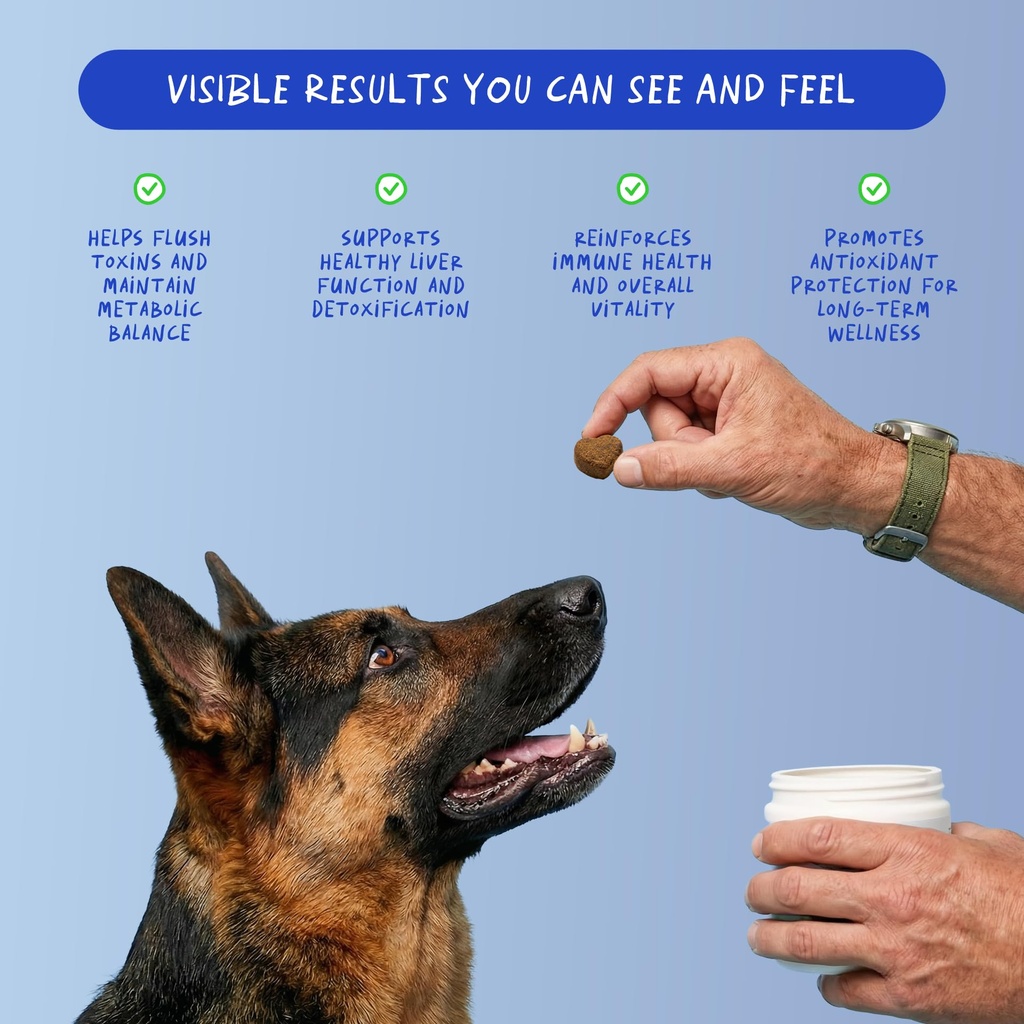 milk-thistle-for-dogs-90-soft-chews-live-3.jpg