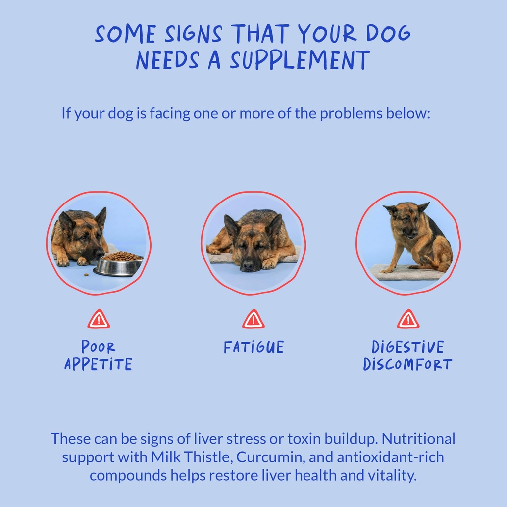 milk-thistle-for-dogs-90-soft-chews-live-5.jpg