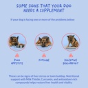 milk-thistle-for-dogs-90-soft-chews-live-5.jpg