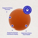 wonder-paws-premium-kidney-support-for-d-4.jpg