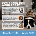 omega-3-fish-oil-for-dogs-and-cats-healt-3.jpg