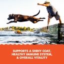 grizzly-salmon-plus-omega-3-6-9-food-sup-4.jpg