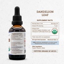secrets-of-the-tribe-dandelion-leaf-usda-4.jpg