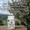 island-nutrition-olive-leaf-extract-caps-4.jpg