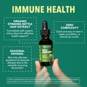stinging-nettle-leaf-extract-liquid-drop-3.jpg
