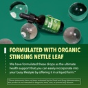 stinging-nettle-leaf-extract-liquid-drop-5.jpg