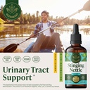 herbamama-stinging-nettle-leaf-tincture--2.jpg