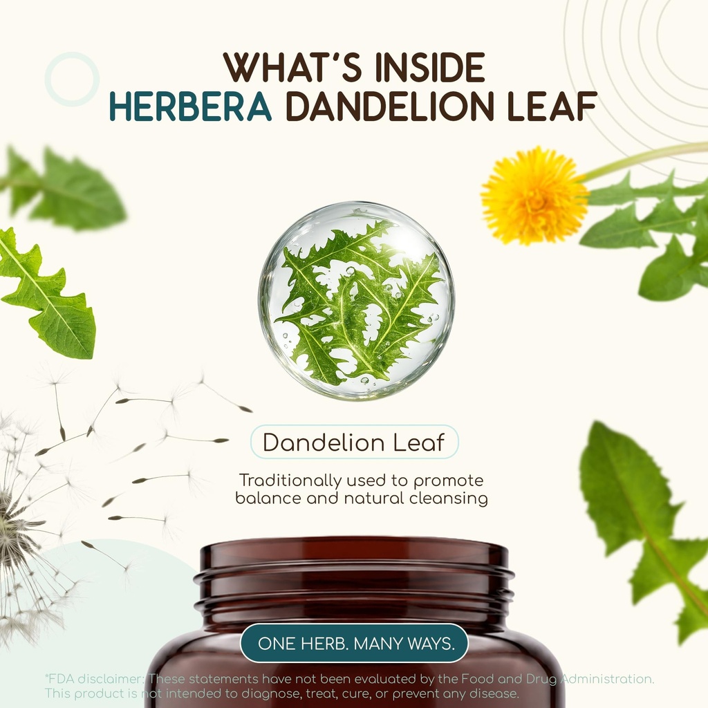 herbera-usda-organic-dandelion-leaf-caps-4.jpg