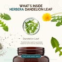 herbera-usda-organic-dandelion-leaf-caps-4.jpg