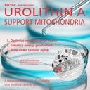 urolithin-a-supplement-1000mg-mitochondr-4.jpg