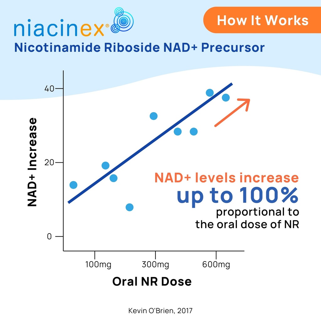nad-supplement-600mg-pure-nicotinamide-r-5.jpg