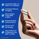 nad-supplement-600mg-pure-nicotinamide-r-2.jpg