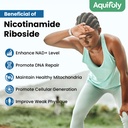 liposomal-nicotinamide-riboside-suppleme-6.jpg