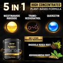 nad-supplement-with-nicotinamide-ribosid-2.jpg