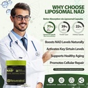 nad-supplement-nad-nicotinamide-riboside-2.jpg