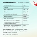 nad-gummies-nad-supplement-1000mg-suger--2.jpg