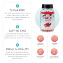 nad-gummies-nad-supplement-1000mg-suger--5.jpg