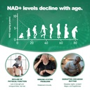 nad-supplement-nicotinamide-riboside-900-3.jpg