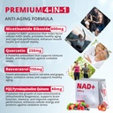 high-potency-1000mg-nicotinamide-ribosid-4.jpg