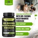 welbuda-5in1-nicotinamide-riboside-suppl-3.jpg
