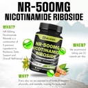 welbuda-5in1-nicotinamide-riboside-suppl-5.jpg