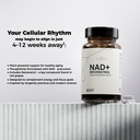 nad-supplement-with-resveratrol-900mg-ad-4.jpg