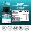 organic-cadane-nicotinamide-riboside-sup-2.jpg